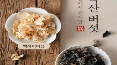생목이버섯 보관 끝판왕! 꿀팁 대방출🎁